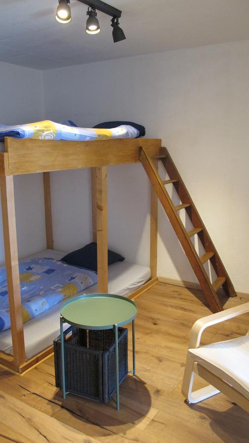 Appartment Emosson Finhaut المظهر الخارجي الصورة